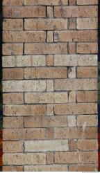 Photo Textures of Wall Bricks